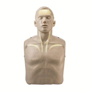 Brayden Adult CPR Manikin with White Illumination Lights