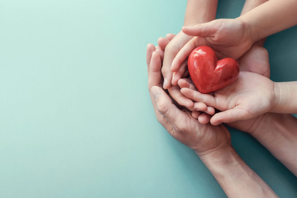 A symbolic image of hands holding a heart, illustrating the connection between CPR and defibrillation as essential life-saving techniques. This image emphasizes the importance of immediate intervention during cardiac emergencies and reinforces the message of timely action for survival.